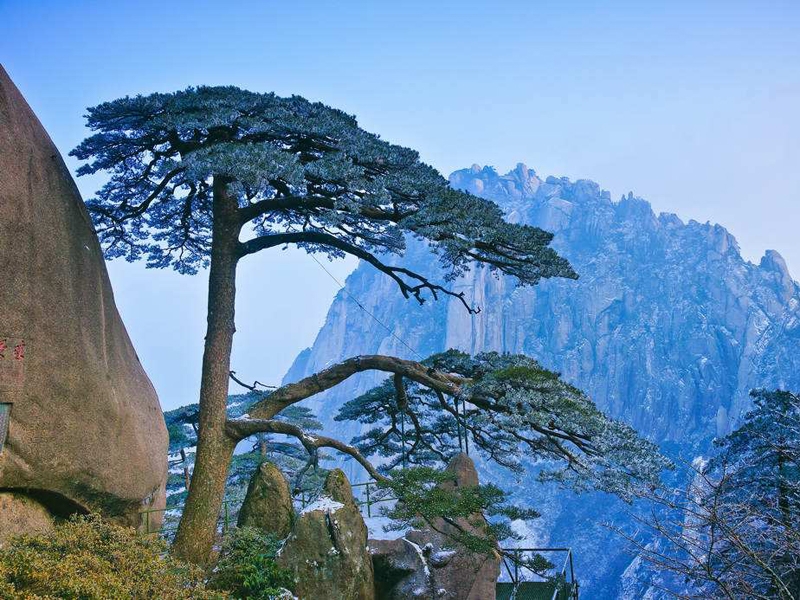 黄山一日游